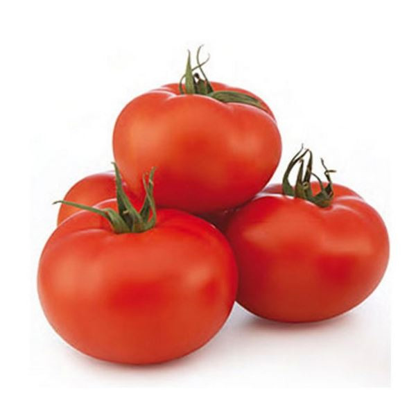 Tomates Redondo x Kg.