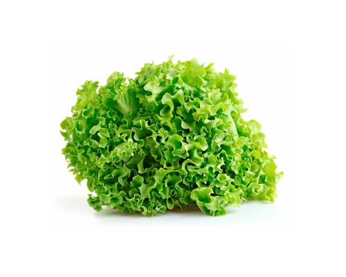 Lechuga Crespa x 200 gs.